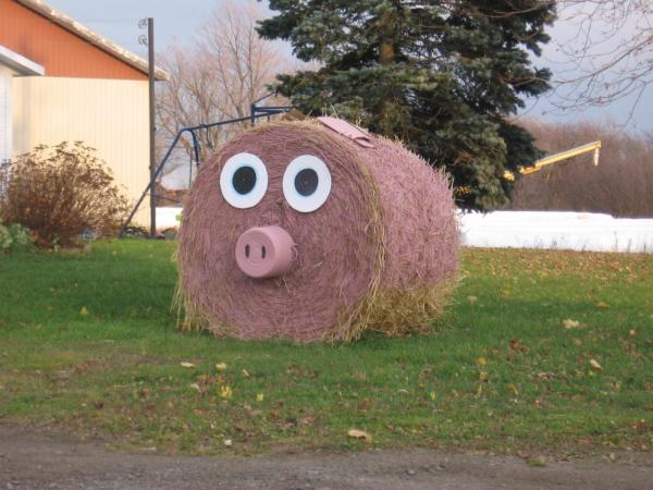 Cochon de paille